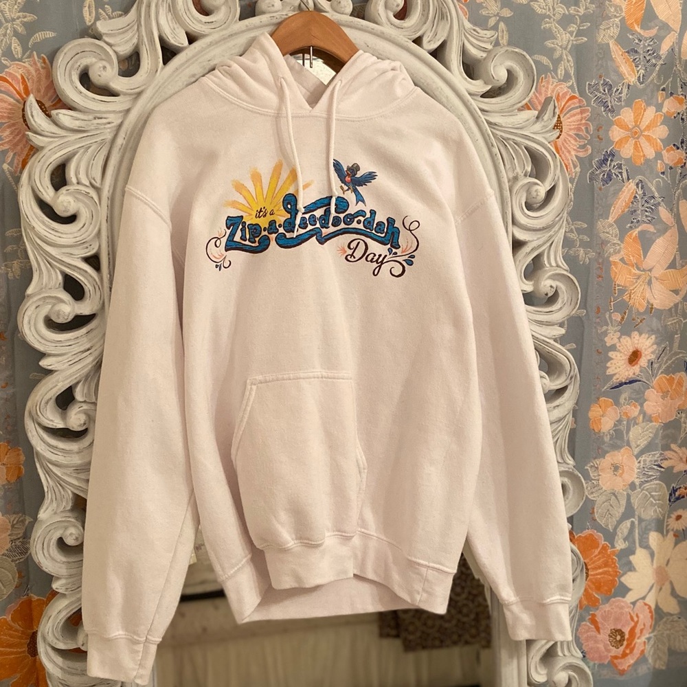 Disney Parks Splash Mountain Hoodie